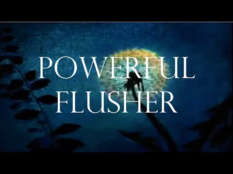 𝄞 Blockage Removal! ~ Powerful Flusher + Energy...