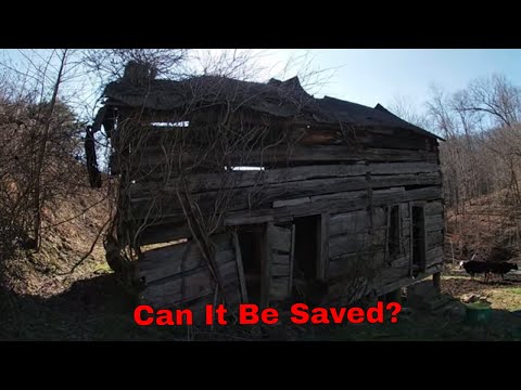 Log Cabin Can It Be Saved?