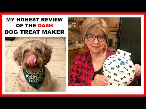 MY THOUGHTS ON THE DASH DOG TREAT MAKER. Did my "taste...