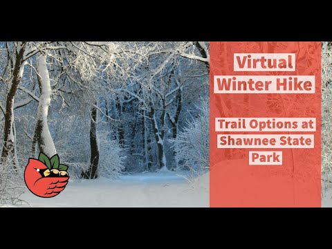 Shawnee State Park Winter Hike Options