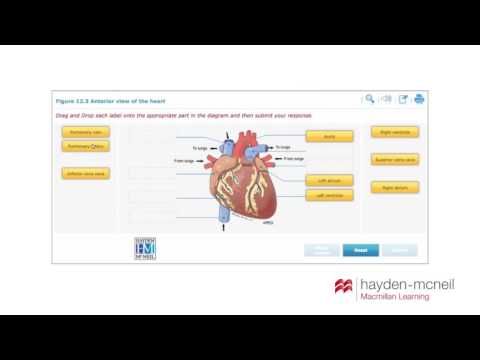 Hayden McNeil Anatomy and Physiology Content Collection