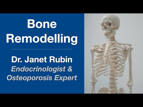 Bone Remodelling and Osteoporosis: Endocrinologist Dr.