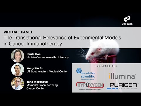 The Translational Relevance of Experimental Models in...