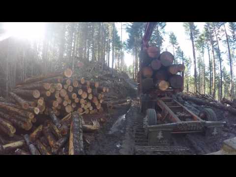 Oregon yarder Logging