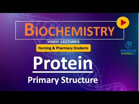 PART 13 - Primary Structure of Protein | Biomolecules...