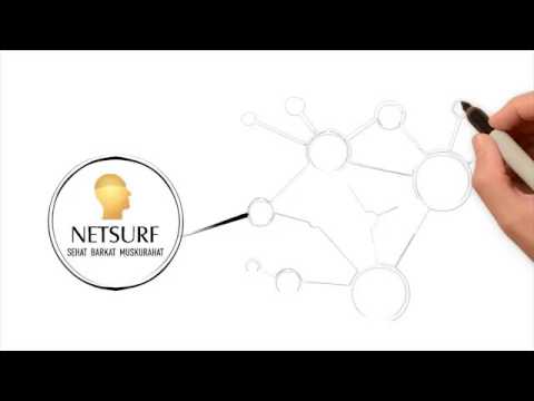 Netsurf's marketing plan and Remuneration System by...