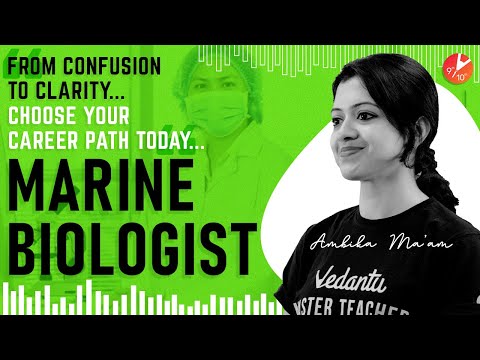 How to Become a Marine Biologist? Marine Biology...