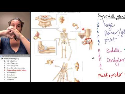 Articulations 5- Types of synovial joints