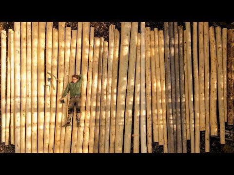 All Logs Peeled for Off Grid Log Cabin!! | 12 | - One...