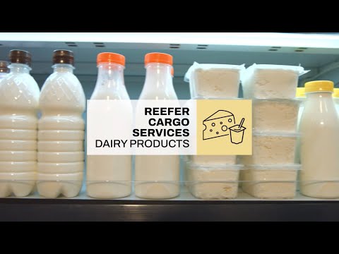 MSC Reefer Cargo - Dairy Products