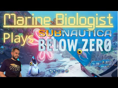 Marine Biologist Plays Subnautica Below Zero...