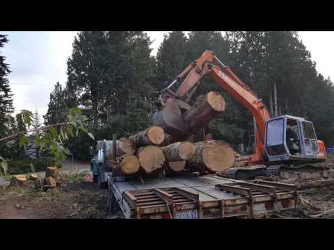 excavator loading logs gyppo style