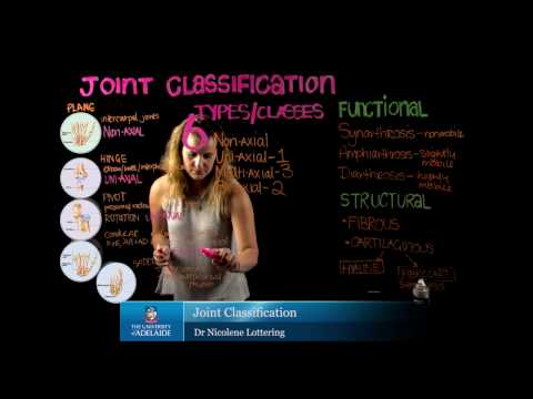 Joint Classification: Structural versus Functional