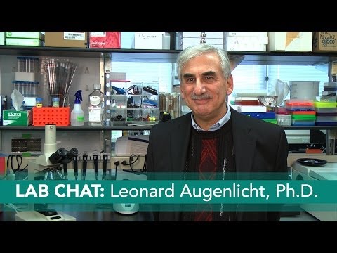 The Western Diet and Colon Cancer: Lab Chat with...
