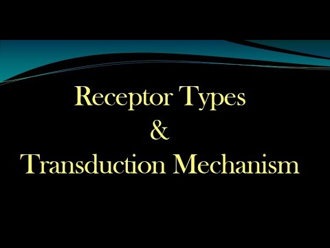 Types of receptor & transduction mechanism