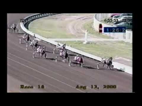 2000 Springfield State Fair SPECIAL MOMENT ISOBA 2YO...