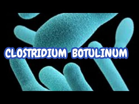 CLOSTRIDIUM BOTULINUM -Microbiology lecture for...