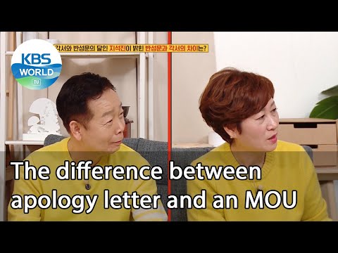 The difference between apology letter and an MOU...