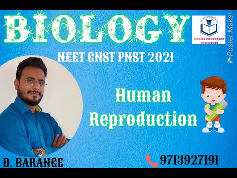 HUMAN REPRODUCTION CLASS 3 NCERT 12 BIOLOGY FINAL EXAM...
