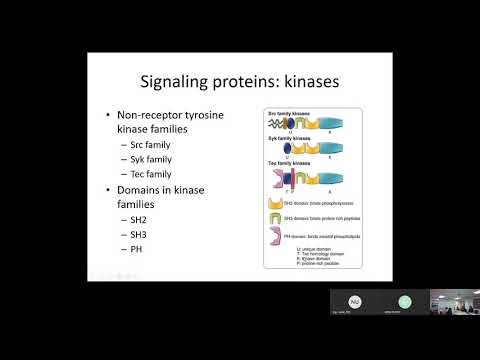 09 Immunology: Immune Receptors and Signal...