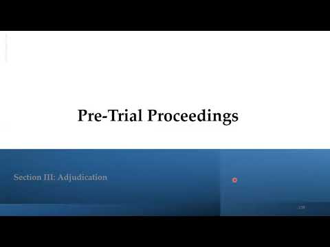 The Judicial Process - Pre-Trial Proceedings - Part I