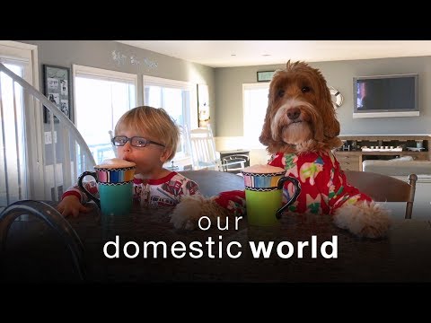 The Stairs & The Porch | Our Domestic World