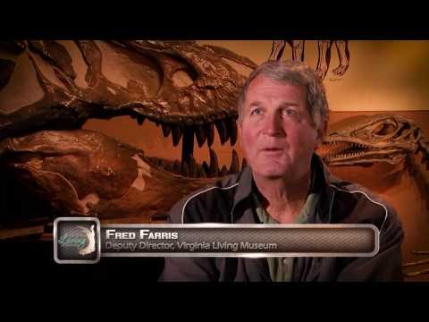 VLM Dinosaur Discovery Trail Promo