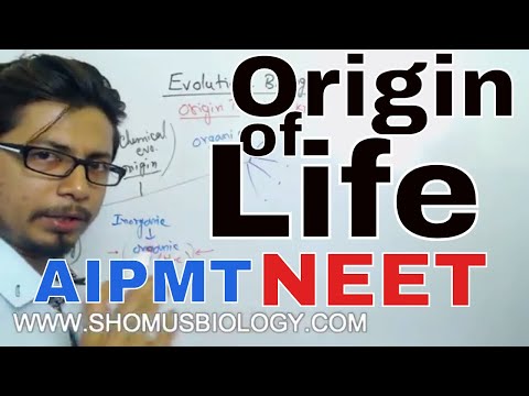 Origin of life class 12 biology | CBSE Biology for...