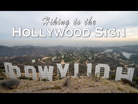 Hiking to the Hollywood Sign and the Wisdom Tree in...