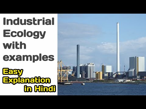 Industrial Ecology with examples | Goals and...