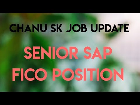 SAP Senior Consultant Job update