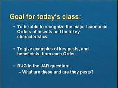 Introduction to Entomology - Part I