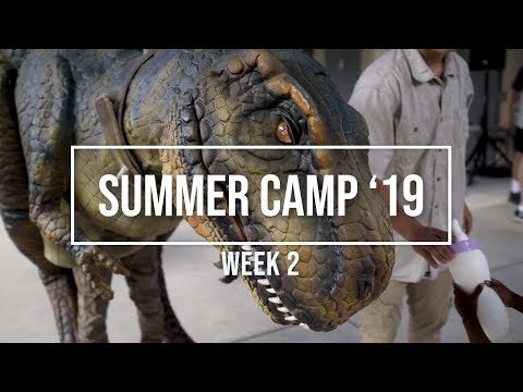 Dinosaur/Star Wars Day (Summer Camp Week 2)