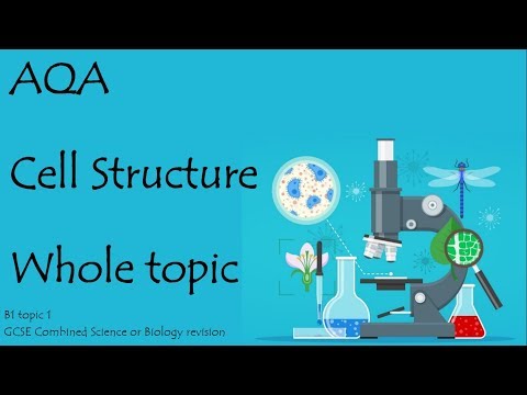 The whole of CELL STRUCTURE. AQA Biology or combined...