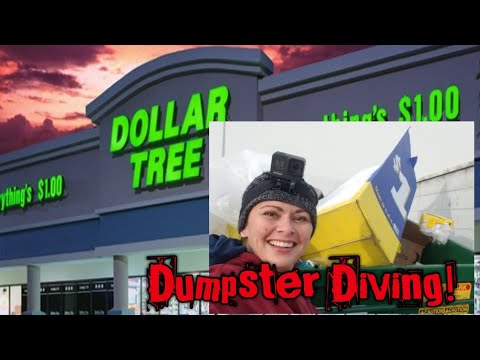 Dollar Store Dumpster Diving Haul!!...