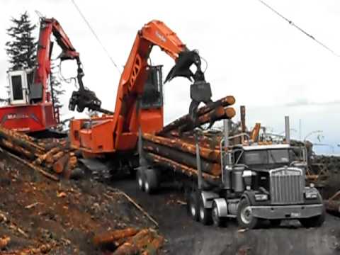 Shovel loads Kenworth logging truck.