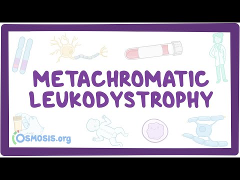 Metachromatic leukodystrophy - causes, symptoms,...