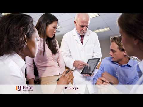 Bachelor of Science in Biology | Post University