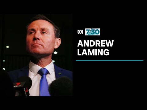 Calls for Liberal MP Andrew Laming to be stood down...