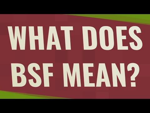 What does BSF mean?