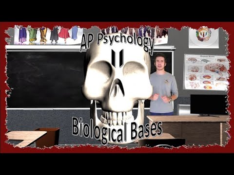 AP Psychology: Unit II Review - Biological Bases