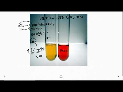 Methyl Red (MR) test: 2 Minutes Microbiology: Dr.