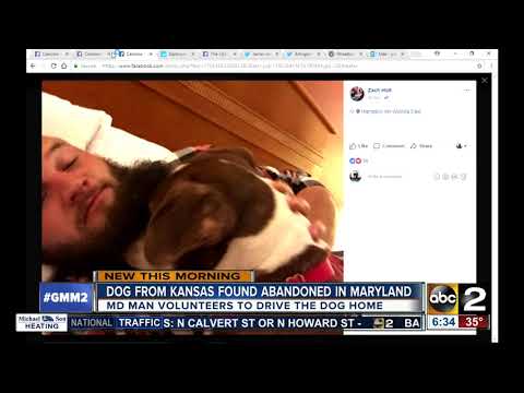 Maryland man drives to Kansas to return abandoned dog