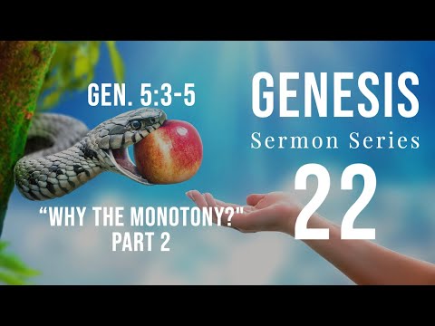 Genesis Sermon Series 22. Why the Monotony? Part 2...