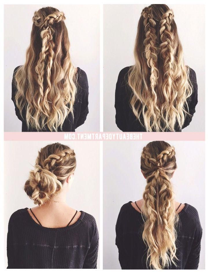 Featured Photo of Braids Hairstyles For Long Thick Hair