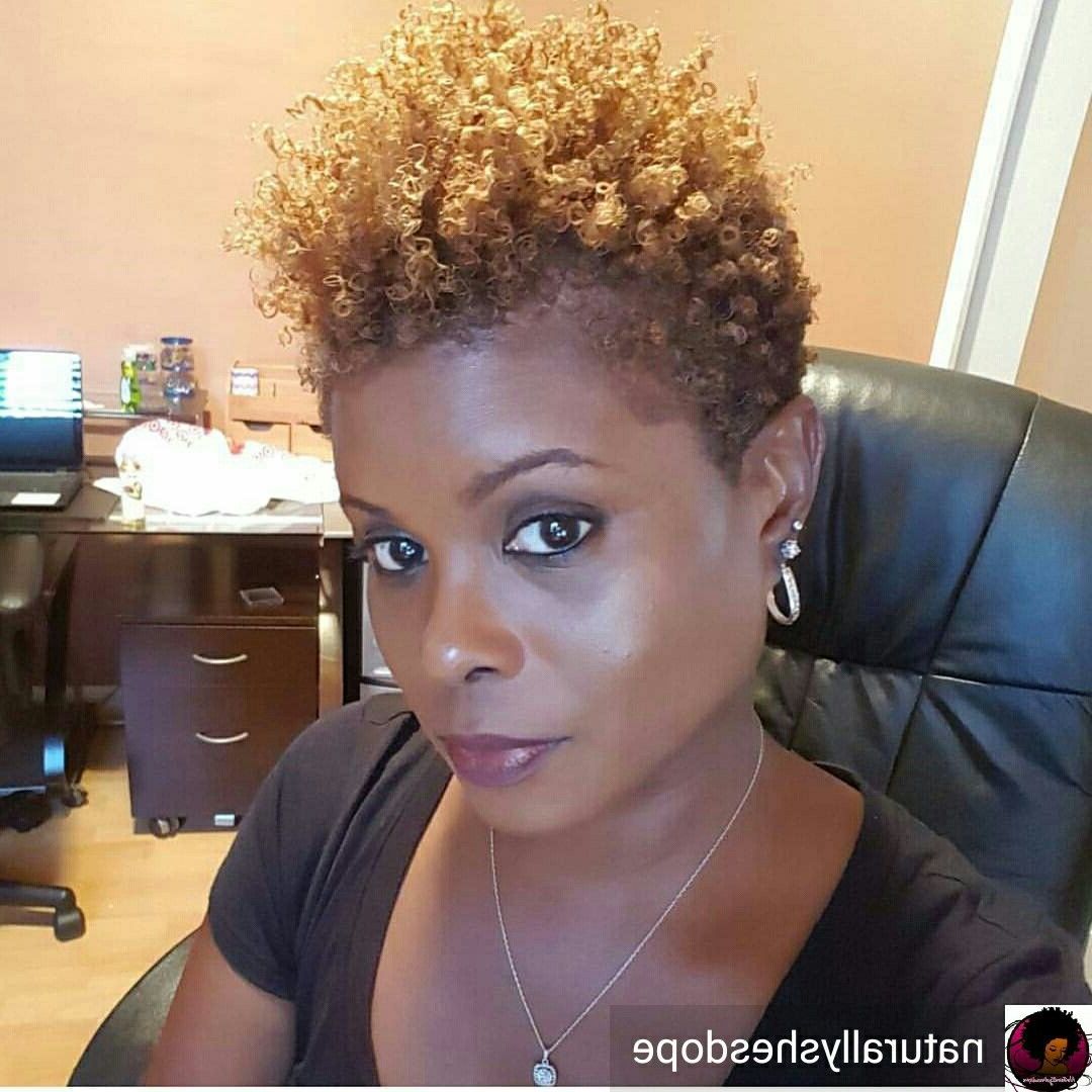 Featured Photo of Curly Black Tapered Pixie Hairstyles