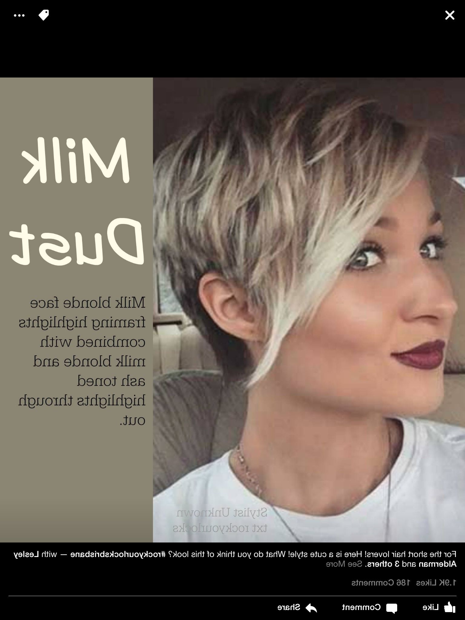Featured Photo of Pixie Bob Hairstyles With Blonde Babylights