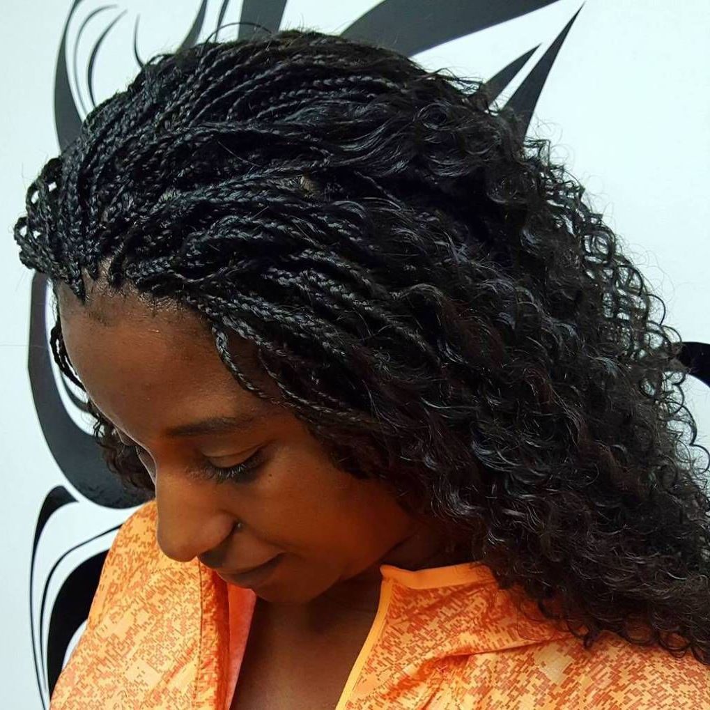 Featured Photo of Micro Braid Hairstyles With Loose Curls
