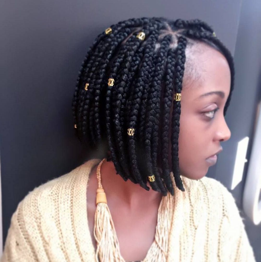 Featured Photo of Box Braids And Beads Hairstyles