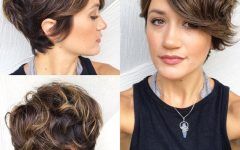 Curly Pixie Haircuts with Highlights